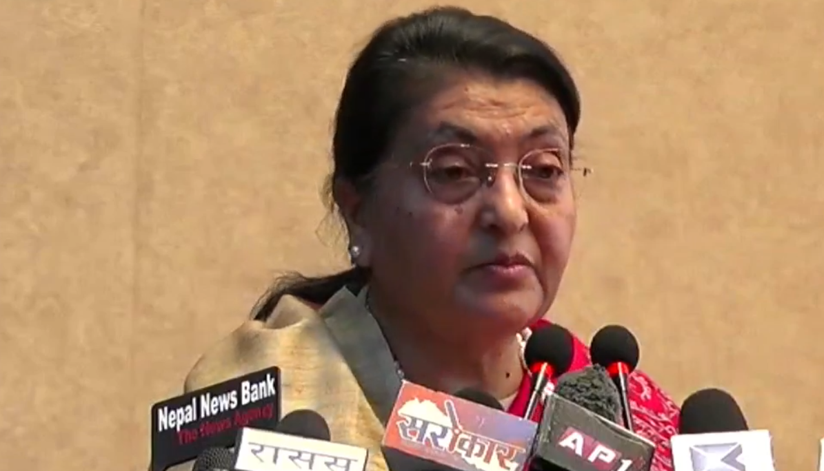 कला र साहित्यले विश्वव्यापी भाइचारालाई मजबुत बनाउँछ : पूर्वराष्ट्रपति