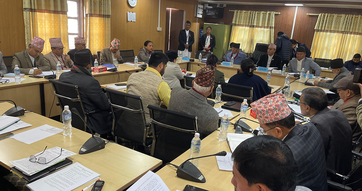 ६ वर्षभित्रै एनसेललाई सरकारको स्वामित्वमा ल्याउन सरकारलाई समितिको निर्देशन
