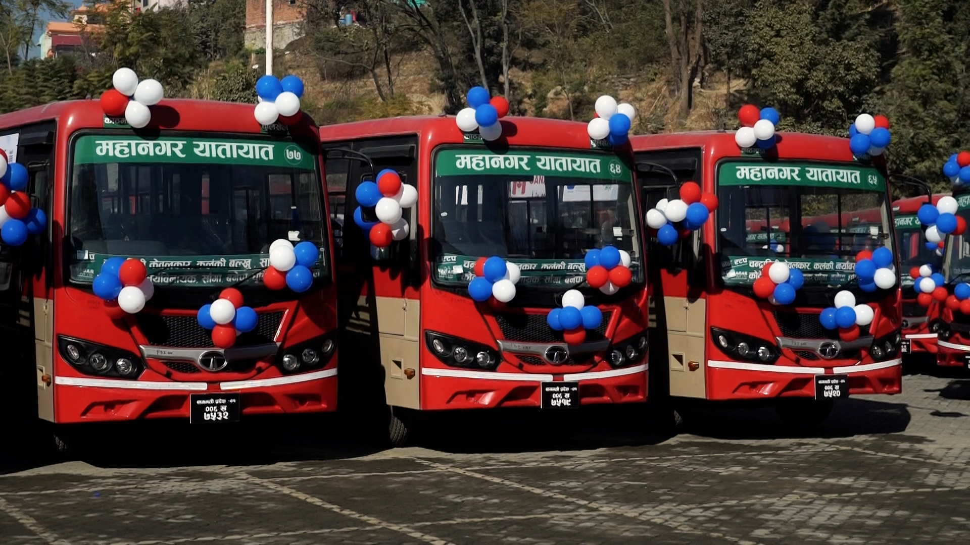महानगर यातायातले संचालनमा ल्यायो टाटाका थप ४० वटा बस