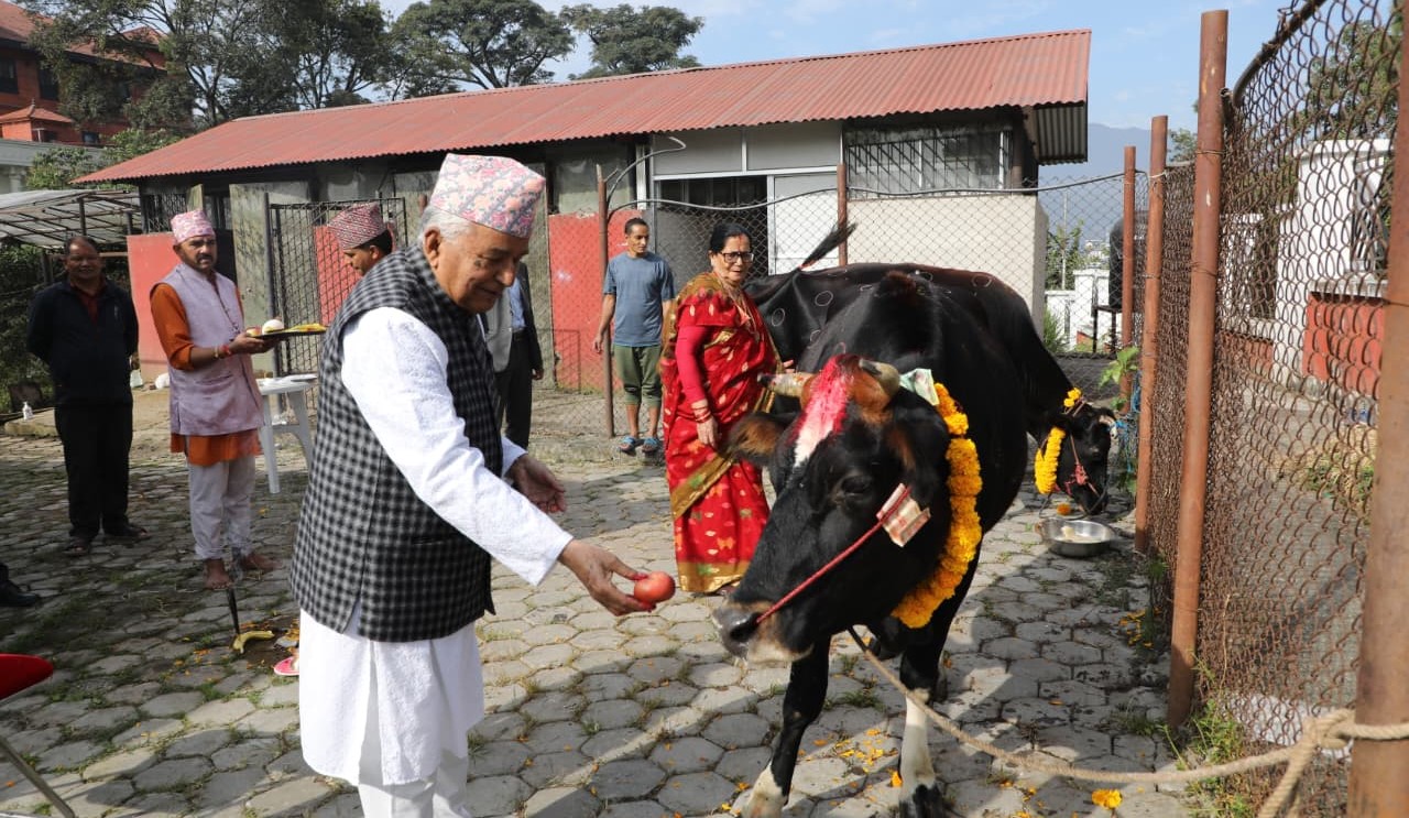 राष्ट्रपति पौडेलले गरे शितलनिवासमै गौ पुजा