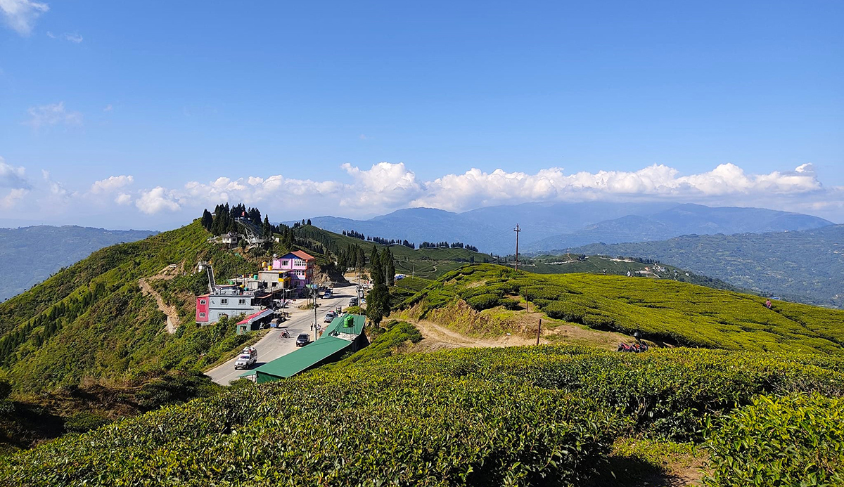 Photo-(3)(11)-1698993363.jpg