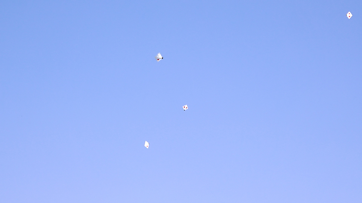 Photo-(6)-(1)-1697362941.jpg