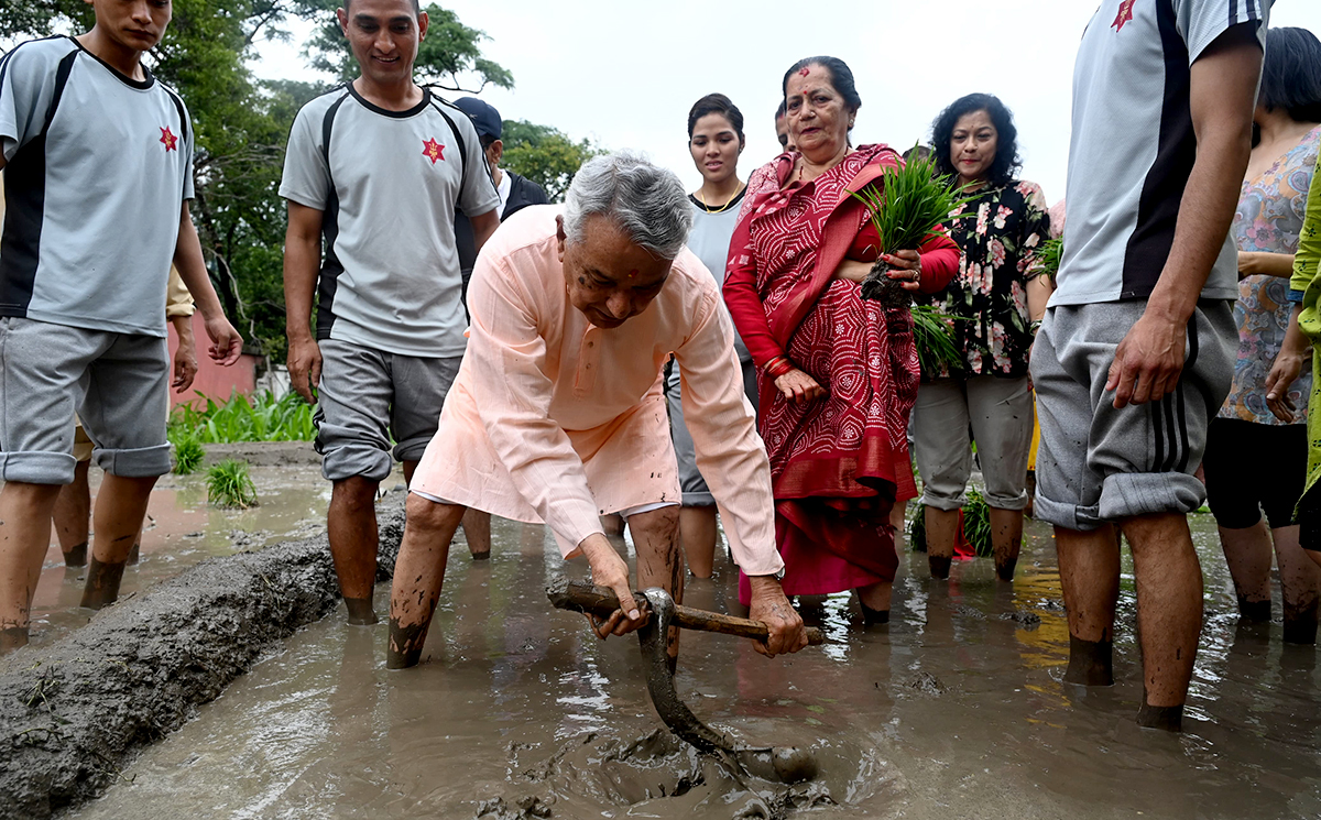 शीतल निवास राष्ट्रपतिले गरे रोपाईं [तस्बिरहरू]