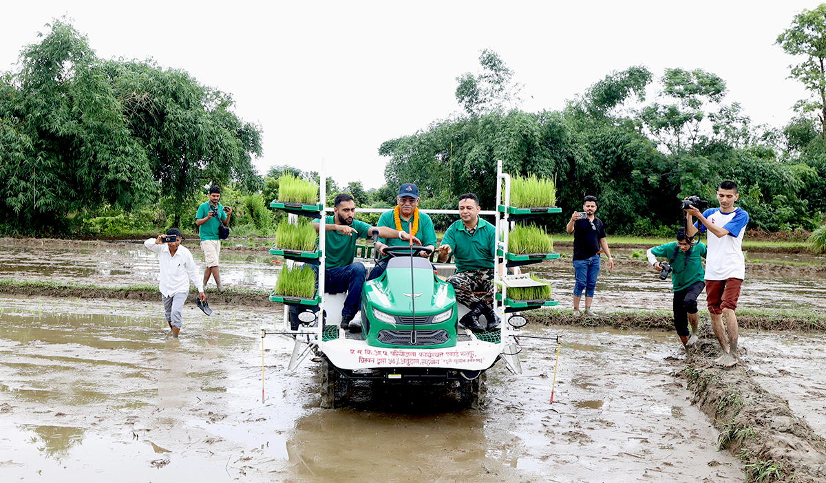 रोपाइँमा व्यस्त प्रधानमन्त्री