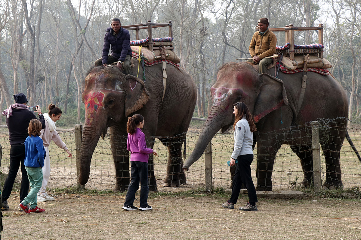 Pro_Chitwan_Bagmara_Hatti_Safari(1)-1705821816.jpg