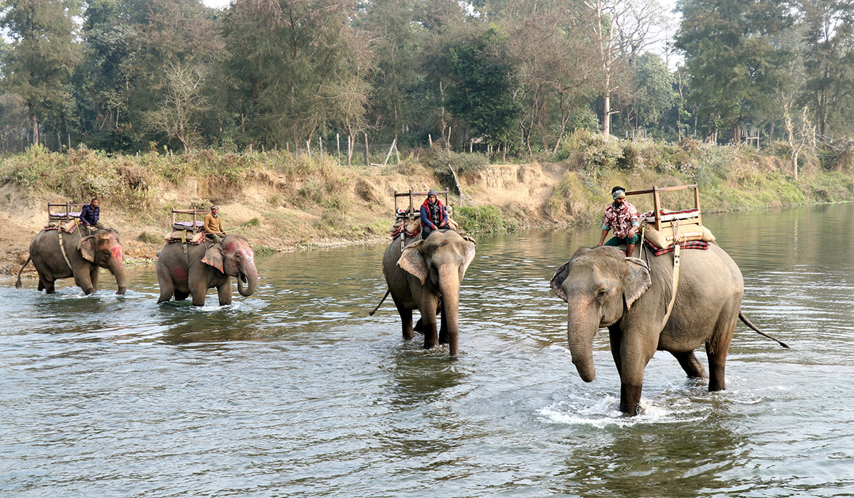 Pro_Chitwan_Bagmara_Hatti_Safari(5)-1705821813.jpg