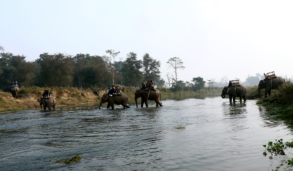 Pro_Chitwan_Bagmara_Hatti_Safari(7)-1705821814.jpg