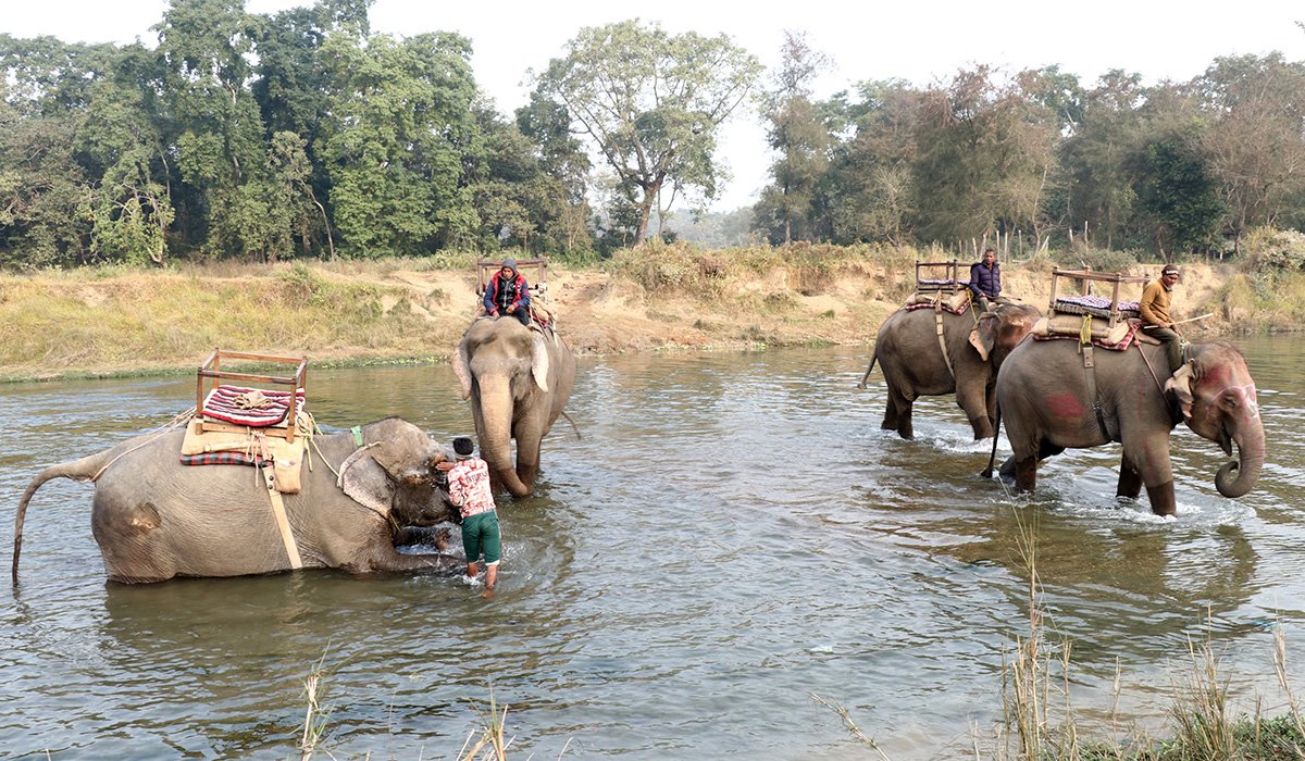Pro_Chitwan_Bagmara_Hatti_Safaris(2)-1705821816.jpg