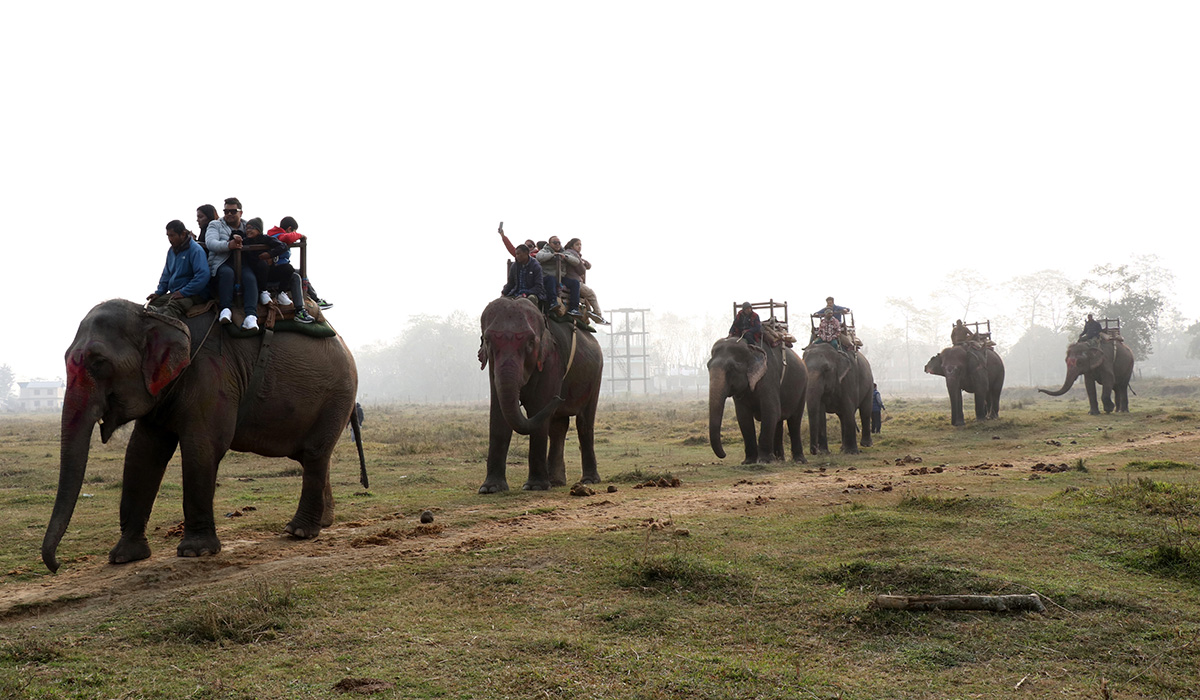 Pro_Chitwan_Bagmara_hattisafari-1705821808.jpg