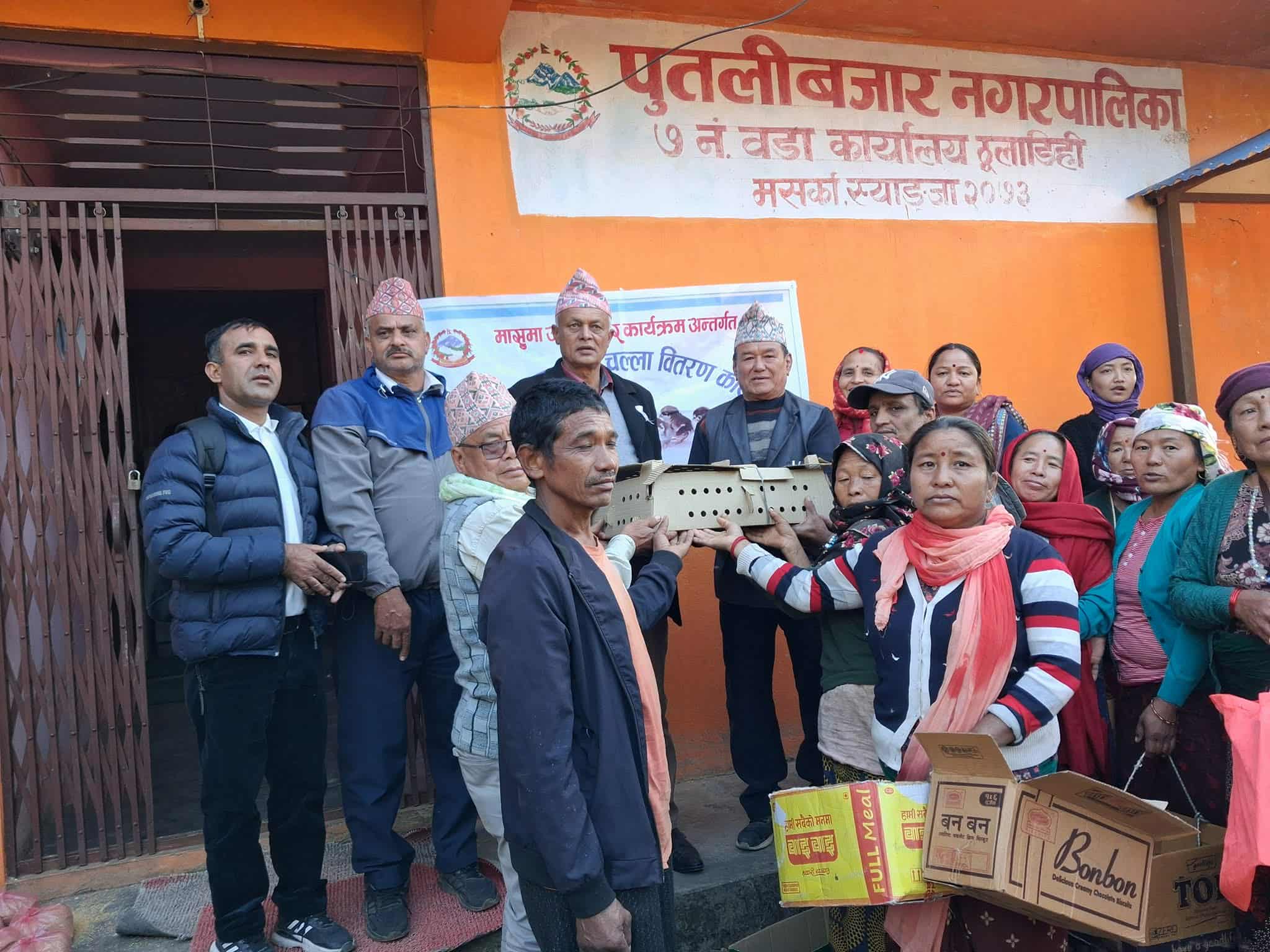 पुतलीबजार नगरपालिकाले गर्‍यो निःशुल्क कुखुराको चल्ला तथा दाना वितरण