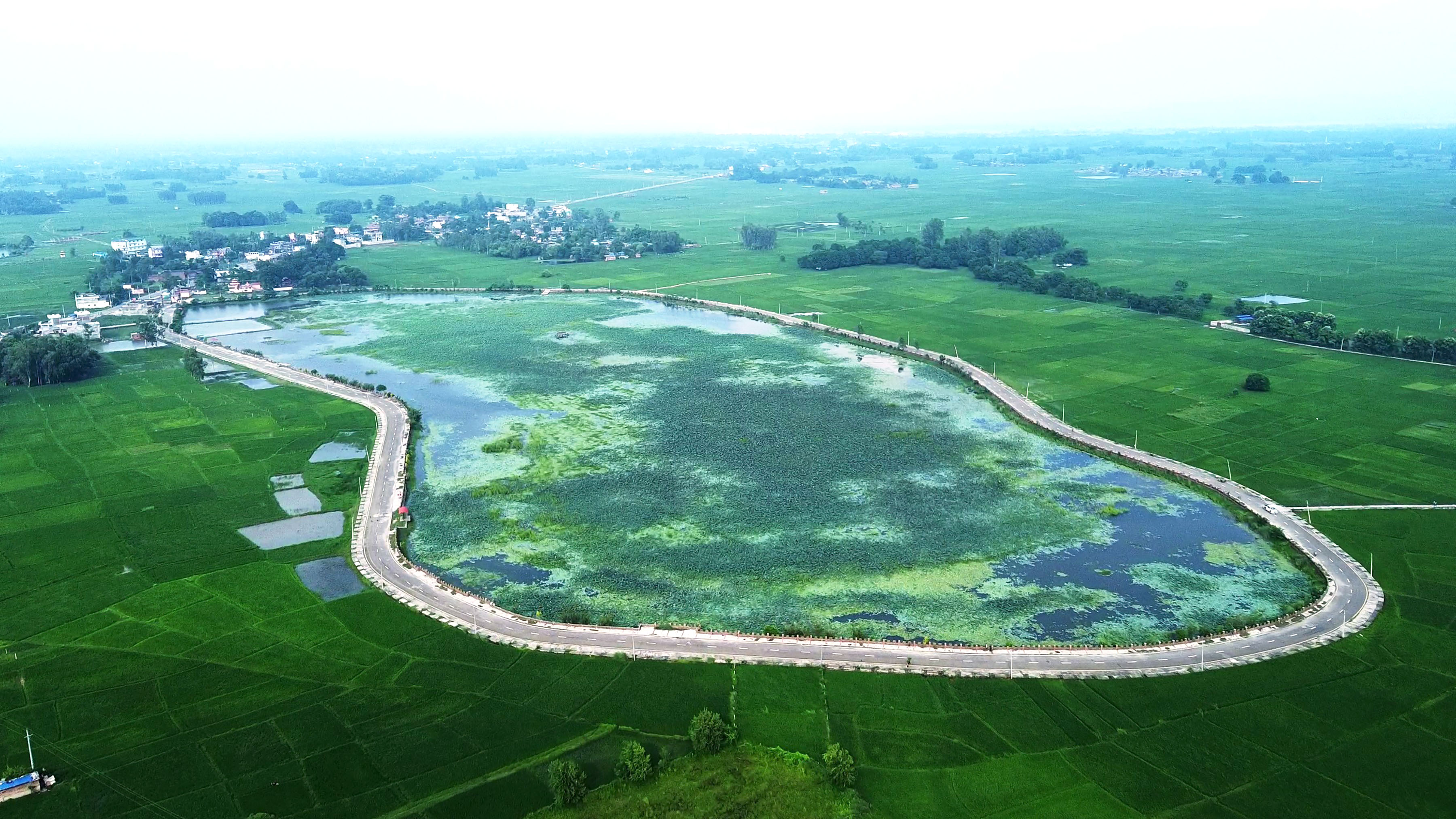 स्थानीय र आगन्तुक चराको गन्तव्य  ‘कान्ति ताल’