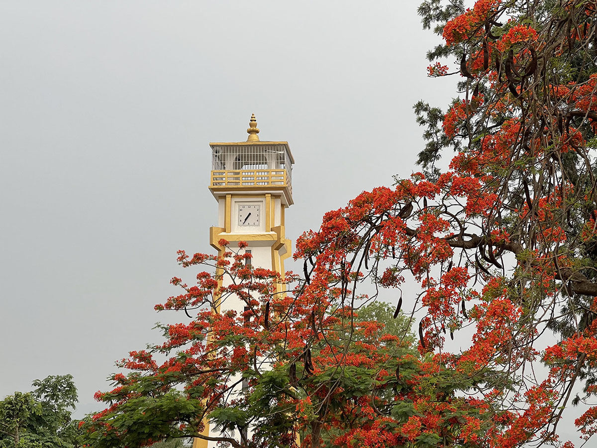 SA_SURKHET_IMG_3652-1715242466.jpg