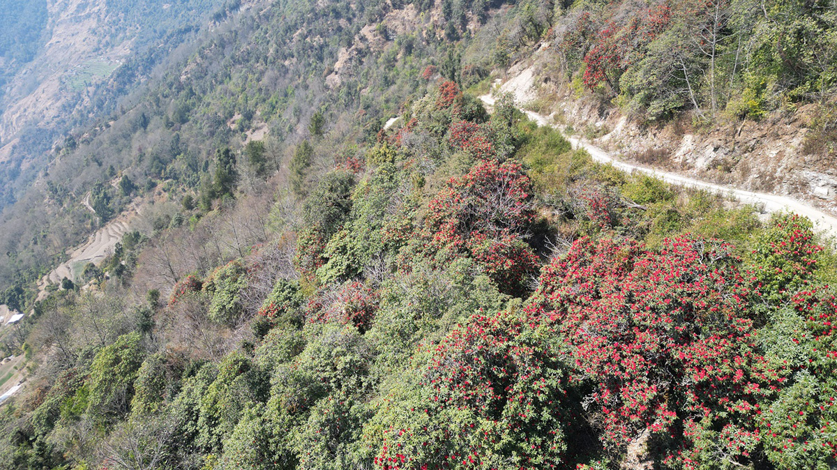 SG_MYAGDI_DJI_0130-1710409006.jpg