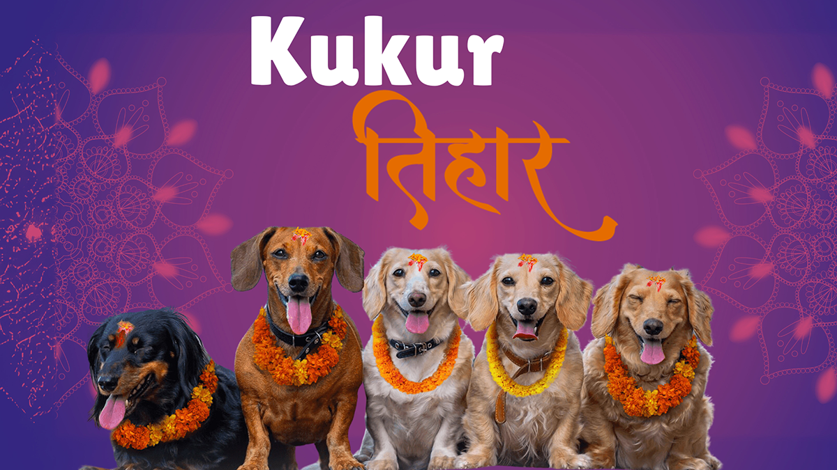 तिहारको तेस्रो दिनः आज लक्ष्मी पूजा र कुकुर तिहार मनाइँदै