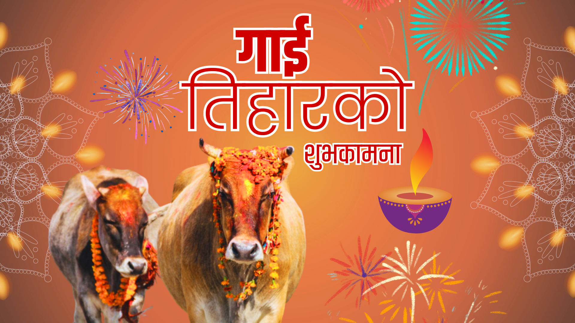 आज गाई पूजा पनि गरिंदै