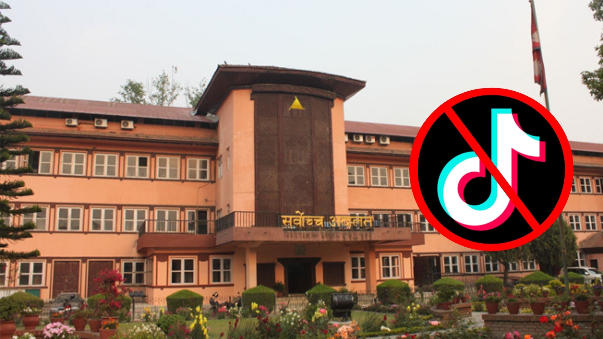 टिकटक प्रतिबन्धसम्बन्धी रिट ‘हेर्न नभ्याउने’मा