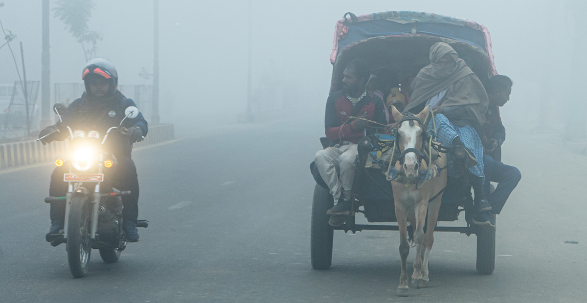 बाक्लो हुस्सुले तराईमा जनजीवन कस्टकर [फोटो फिचर]