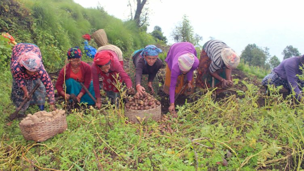 हराउँदै अर्मपर्म परम्परा