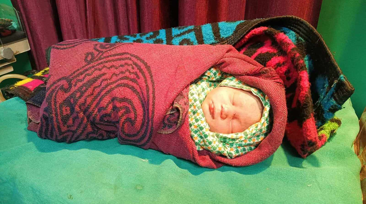 झाडीमा भेटियो सालनालसहितको बच्चा