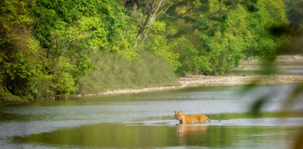 बर्दियामा बढ्याे पर्यटकको चहलपहल