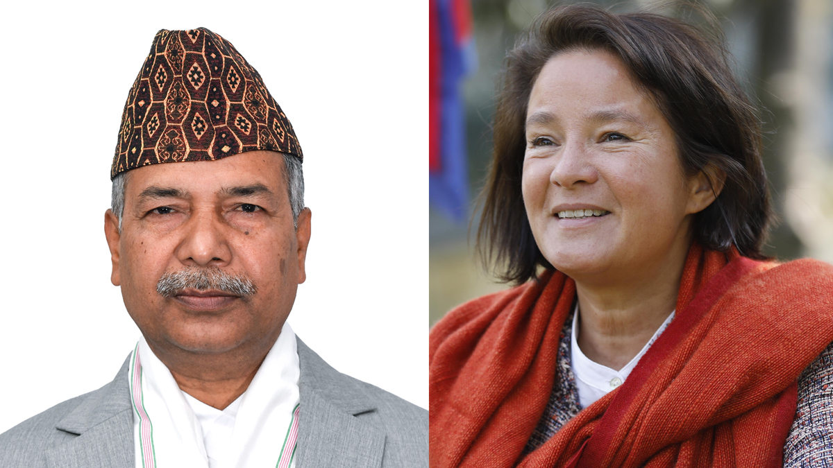 कार्यवाहक राष्ट्रपतिसँग युरोपेली सङ्घका राजदूतको भेट