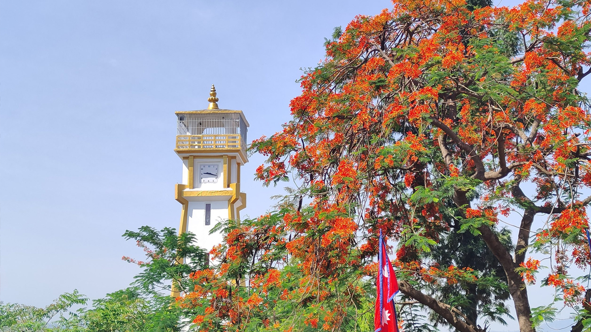 birgunj-1715242510.jpg