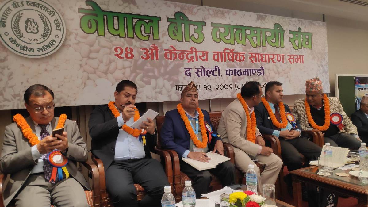 नेपाली बीउ हराउन लागेकोमा व्यवसायीको चिन्ता