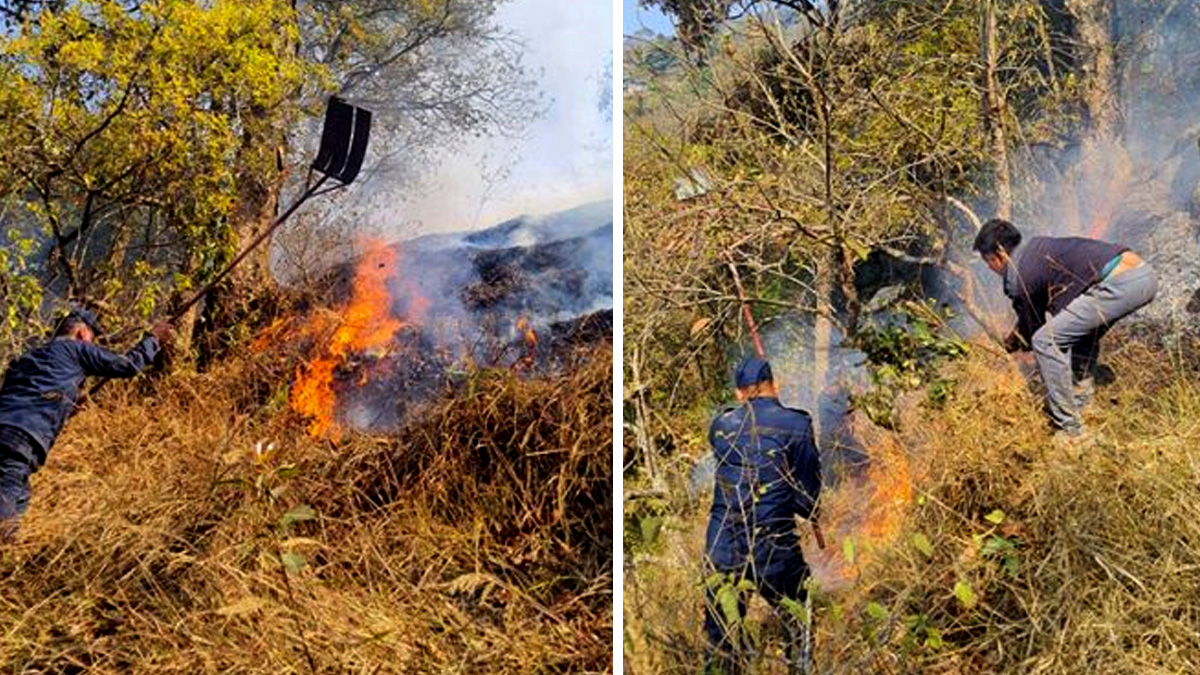 चन्द्रागिरिको सामुदायिक वनमा आगलागी