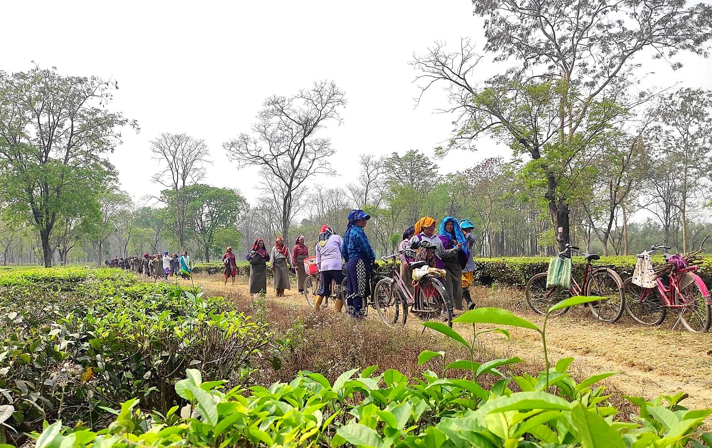 श्रमिकका लागि कार्यस्थलको सुरक्षामा जोड 