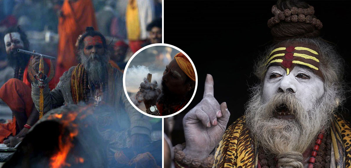 पशुपतिमा बिन्दास बाबाहरू [फोटोफिचर]