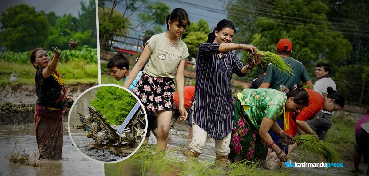 रोपाइँ उत्सवको रमाइलो [फाटो फिचर]