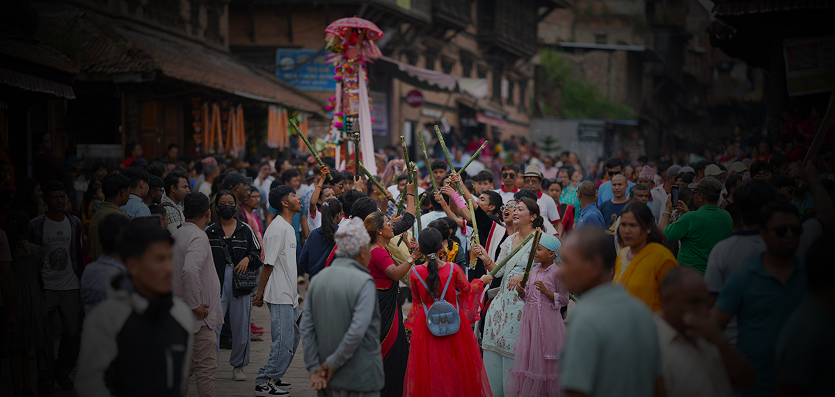 तस्बिरमा गाईजात्रा