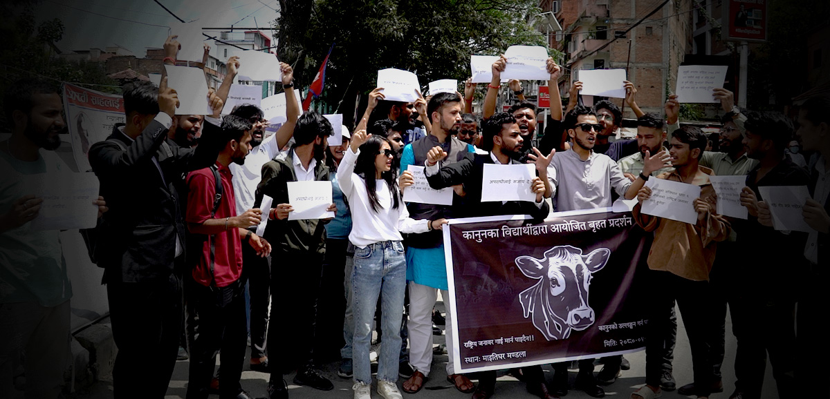 सरकारलाई कानून पढाउन गौहत्याविरुद्ध कानुनका विद्यार्थीद्वरा माइतिघरमा प्रदर्शन