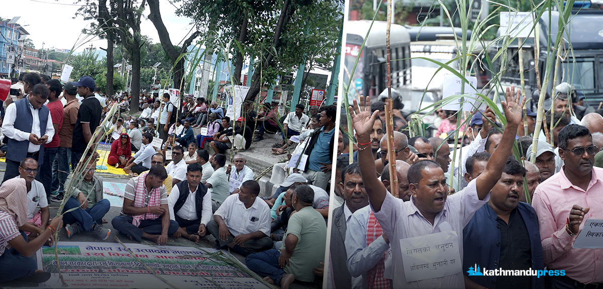 उखु किसानले थाले काठमाडाैंमा आन्दोलन [तस्बिरहरू]