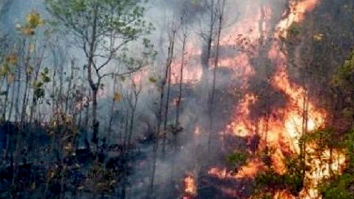 डढेलो नियन्त्रणमा नआउँदा बस्ती जोखिम