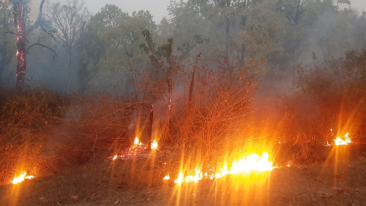 डढेलोले वन सखाप, धुवाँले स्वास्थ्य खराब