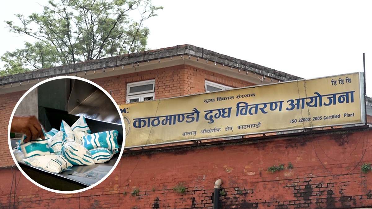 ६ सय मेट्रिक टन दुग्ध पदार्थको मूल्य समायोजन गरेर बिक्री गर्ने तयारीमा डीडीसी