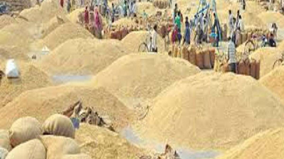 बर्दियामा खाद्यले धान खरिदका लागि लगायो काँटा