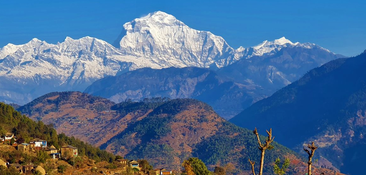 ६३ वर्षमा ५५० आरोहीले चढे धौलागिरि हिमाल