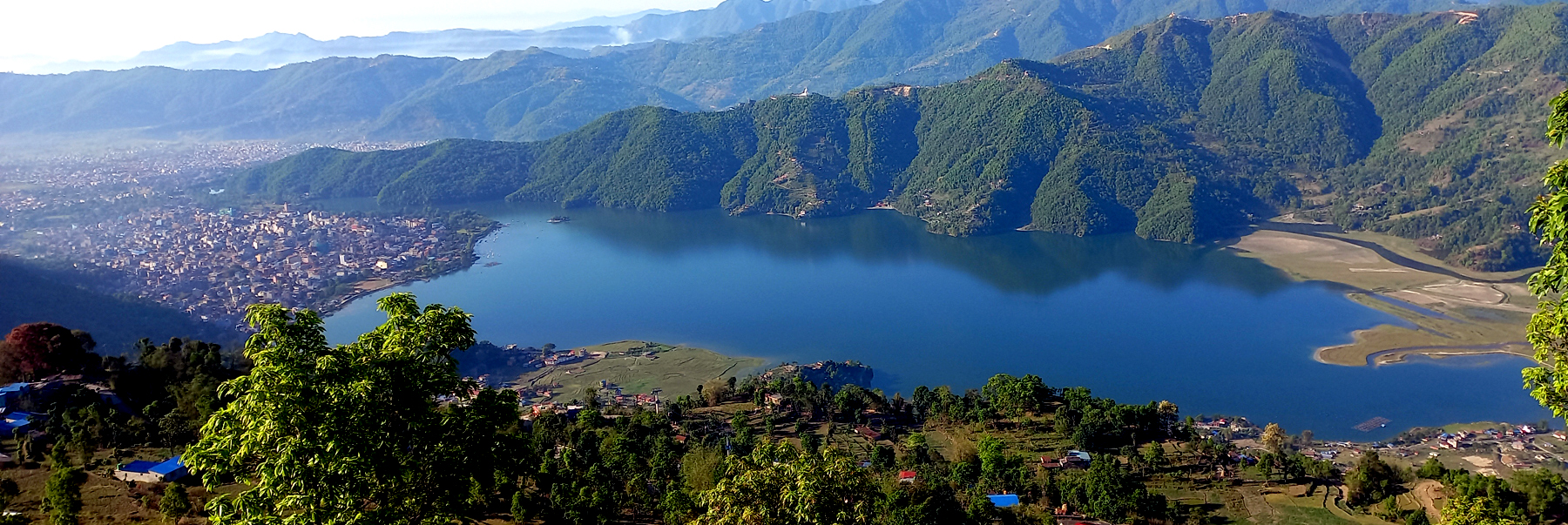 पोखराका तालहरूमा ५३ प्रजातिका जलपक्षी