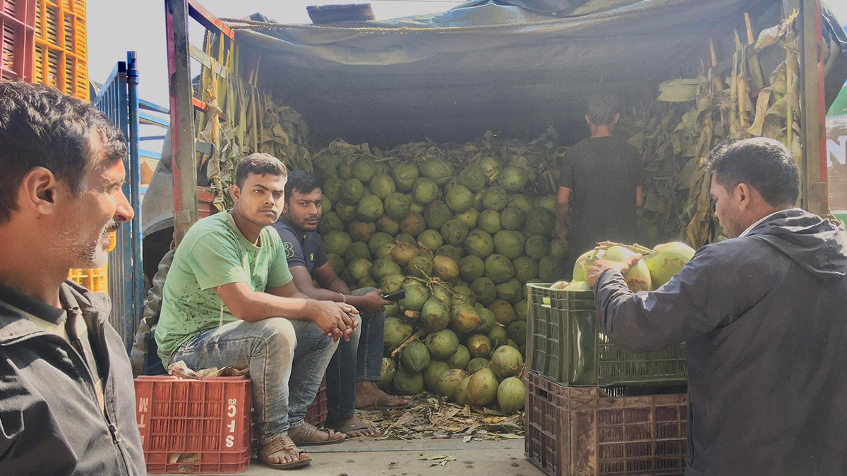 विदेशी फलफूलको प्रभाव बढ्दै