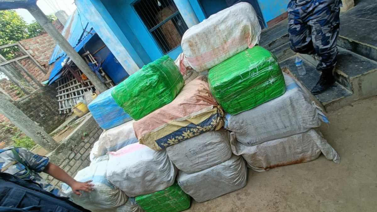 सिरहाको एक घरबाट ७१७ किलो गाँजा बरामद, घरधनी फरार