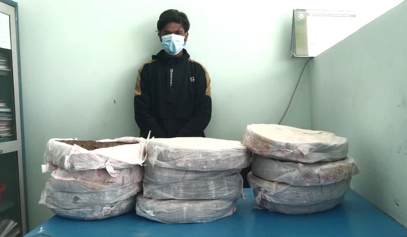 ४५ किलो गाँजासहित युवक पक्राउ