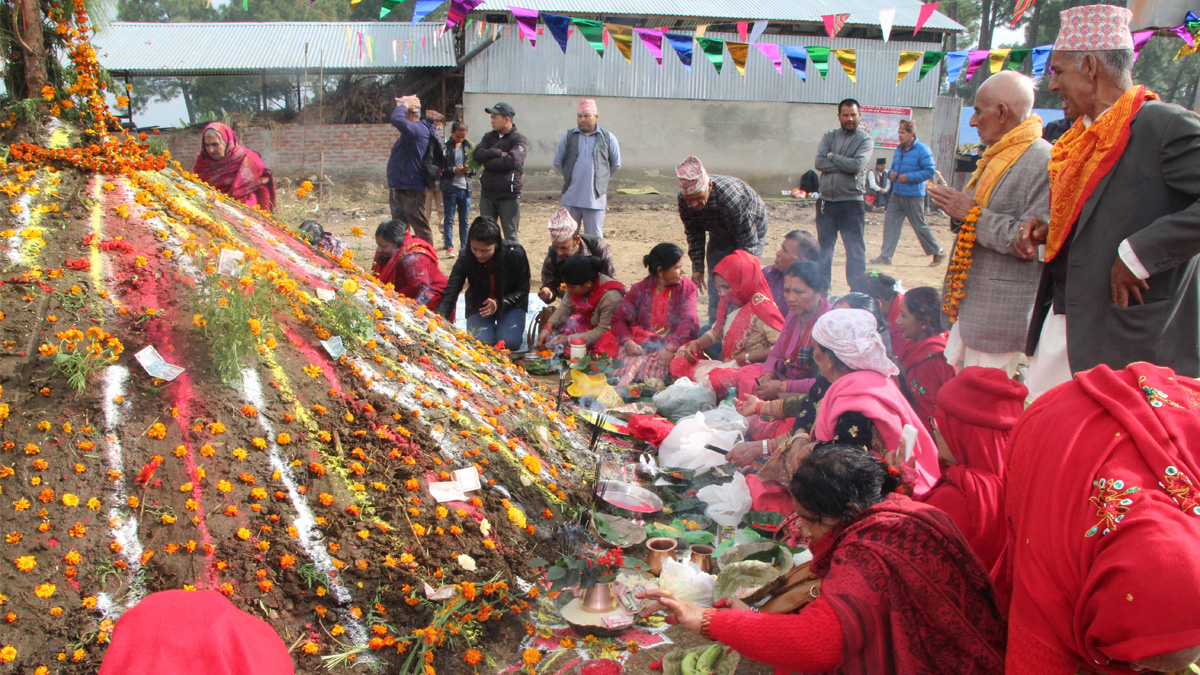 तिहारको चौथो दिन, आज गोवर्द्धन पूजा