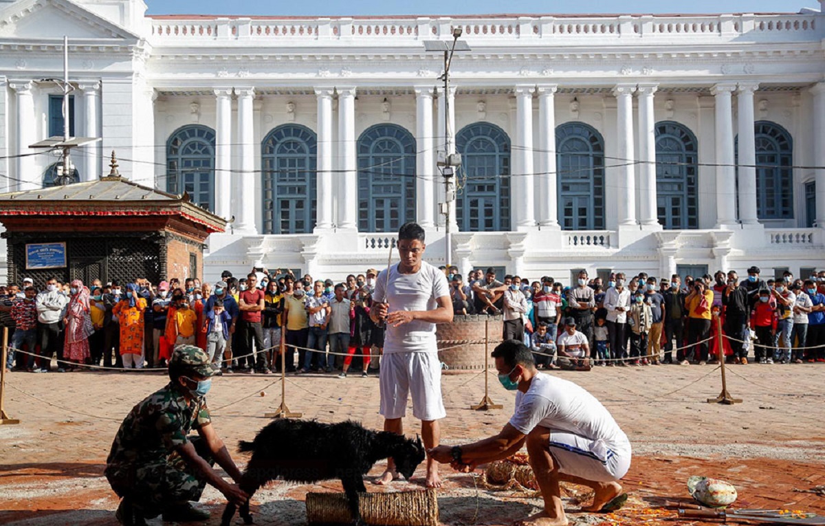 हनुमानढोका दरबारको मूलचोकमा ५४ बोका र ५४ राँगाको बलिसहित पूजा