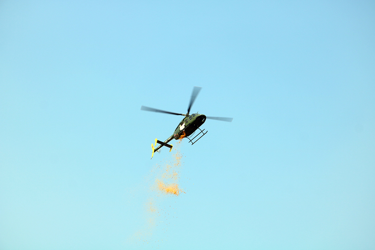 heli1676710523.jpg