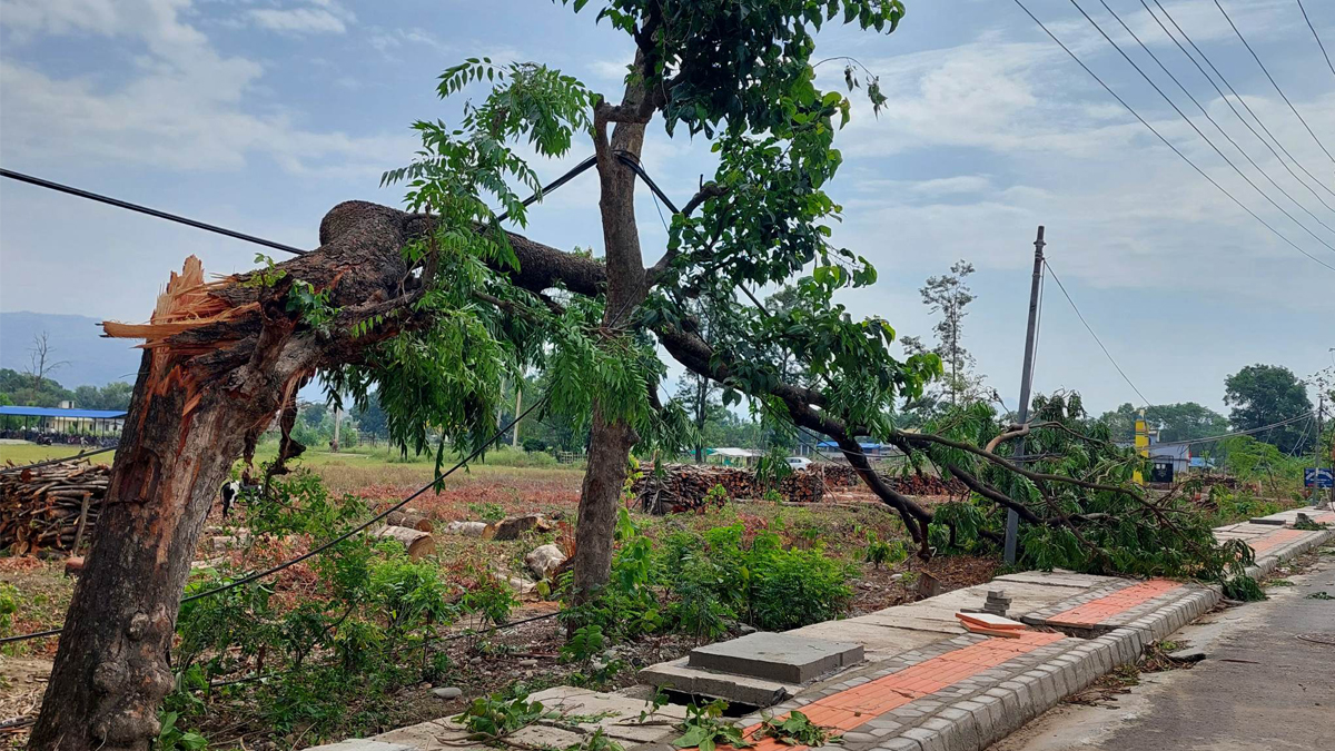 हावाहुरीले छानो भत्किँदा दुई मजदुर घाइते