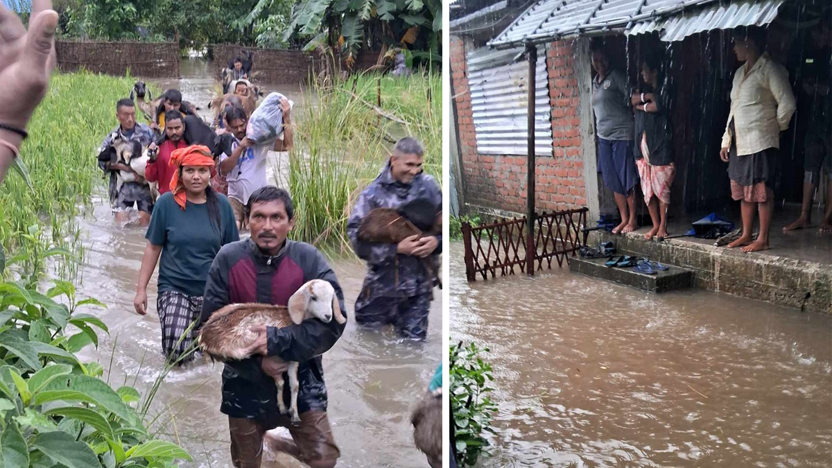 झापामा बाढीका कारण २५० बढी परिवार विस्थापित 