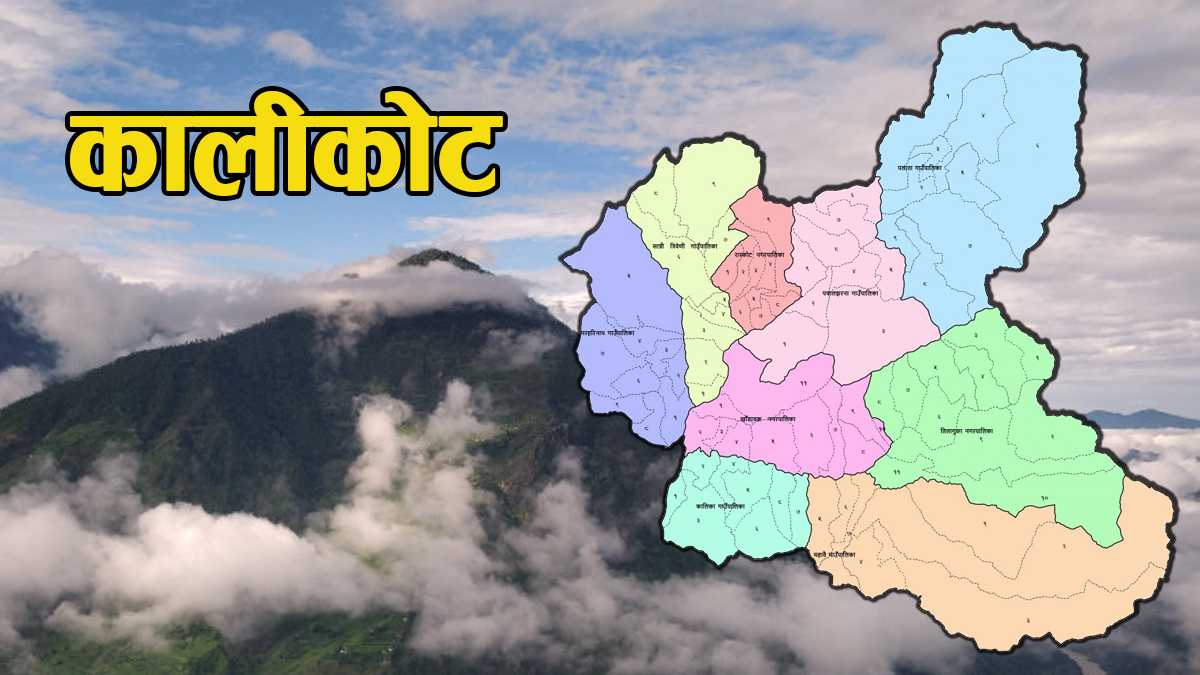 कालीकोटमा ‘लम्पी स्किन’को सङ्क्रमण