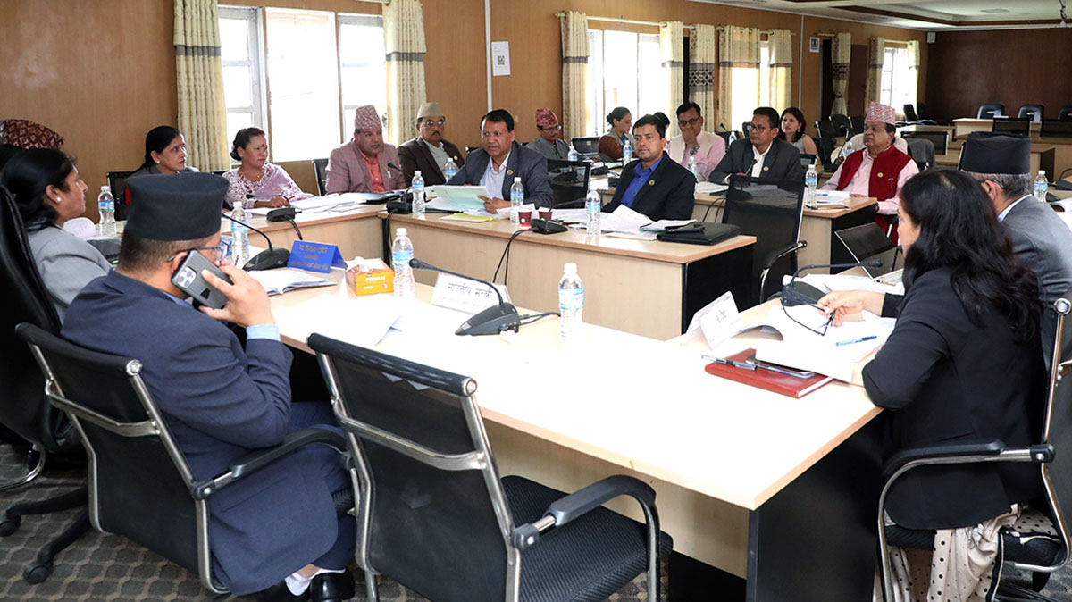 नेपाल ऐनलाई संशोधन गर्न बनेको विधेयकमाथि दफावार छलफल